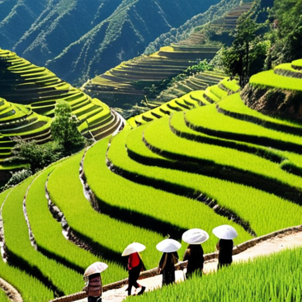 **Prompt:** Lush rice terraces in Yunnan, China, teeming with tourists and local villagers. Some are operating homestays, others selling handicrafts. Litter and overflowing trash cans visible, contrasting with the natural beauty. Emphasize the tension between economic development and environmental preservation, bright daytime lighting, realistic style.
