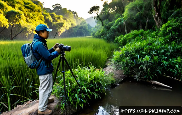 자연보호구역 모니터링의 효과적인 방법론 - Photorealistic wildlife conservation monitoring scene in a protected forest reserve, a field researc...